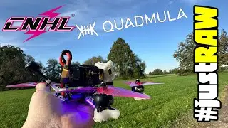 Quadmula Siren F5 Mini with KISSultra Sticktime #justRAW