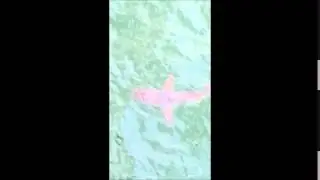 Shark at North Carolina Pier