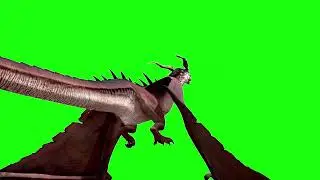 Dragon Pack 8 Green Screen 3D