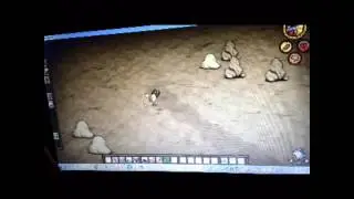 Don't starve:для кальмара