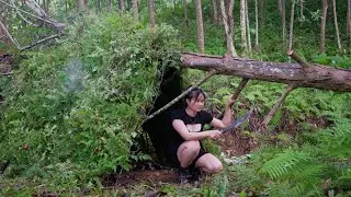 Snakes and dangers, scary rain forests. Build a survival bushcraft shelter