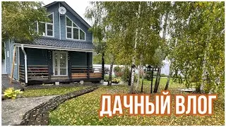 Дачный влог.  🏡Дождливая осень 🍂