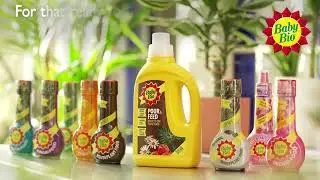Baby Bio - Feeding Your Houseplants