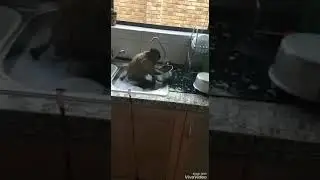 Ввввоооуув❤️❤️❤️Это так смешно. 🤔😂😂(3)