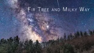 [8K UHD] Time Lapse - Fir Tree and Milky Way (전나무와 은하수)