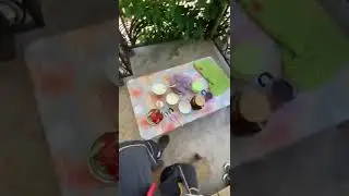 во время обрезка виноградных деревьев летом. Жалал-Абад/садовник/виноград