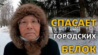 Лесная фея. Помощь белкам. Про животных. Помощь животным.