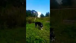 Золотое Кольцо России/На даче))