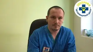 НАШИ ВРАЧИ ПОВЫШАЮТ СВОИ КВАЛИФИКАЦИИ