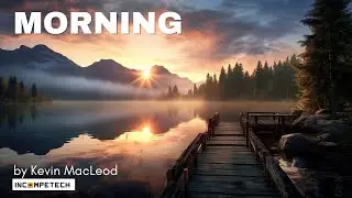 Morning