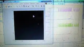 Computer Bug attracted to target in Matlab