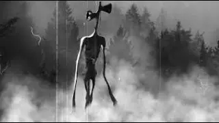 настоящий сереноголовый!!!!!!!