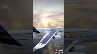 Подпишись !!!🐕🐕🐕