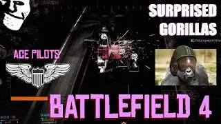 Anti-gorilla commitment | Battlefield 4