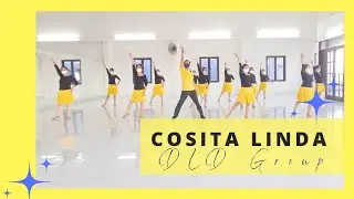Cosita Linda Line Dance  || choreo : Ayek Lesmana || Demo by DLD Group