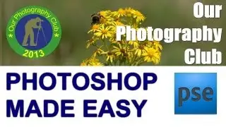 Photoshop Elements RAW file magic
