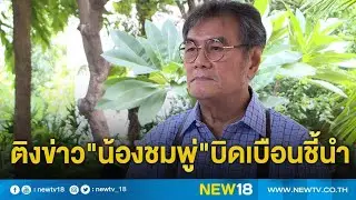 ติงข่าว