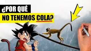 ¿CUÁNDO y POR QUÉ PERDIMOS la COLA? 🐒 | Explicación BIOLÓGICA