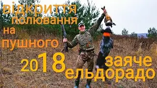 Відкриття полювання на зайця 2018. Заяче ельдорадо.Добув три зайця.