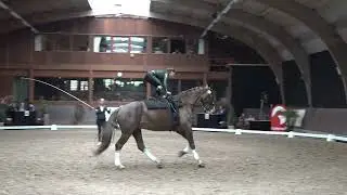 Tessa Vos  freestyle