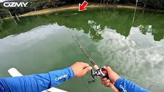 100% FOKUS CASTING IKAN TOMAN! ROYAL BELUM PT-3