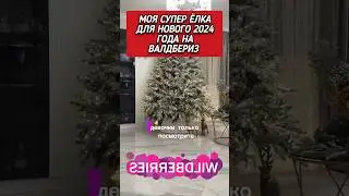 Супер находка для нового 2024 года! 