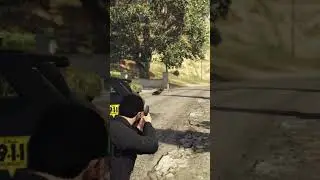 Don't Walk Towards Me - lspdfr