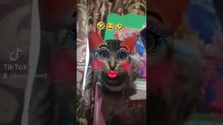бенгал/бенгальская кошка Нала/Bengal/Bengal cat Nala