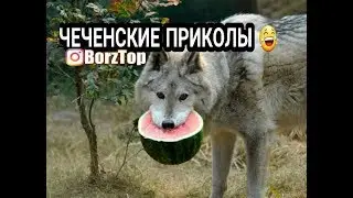 Приколы #6
