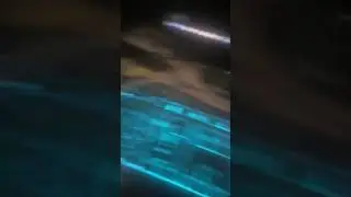27 июня 2024 г.