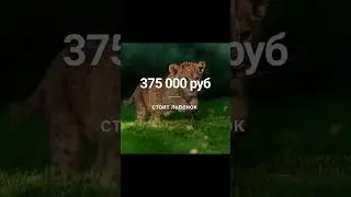 а вы знали что #shorts #советы #мотивация