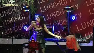 Nikki -  Летят птицы