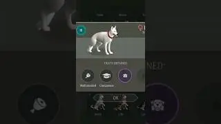Raise a puppy of Rank lll - Last Day on Earth;Survival
