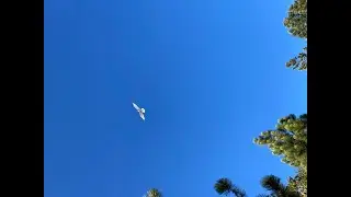 Lake Tahoe 2021