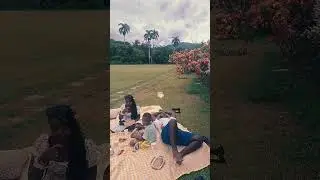 #picnic #picnicseason