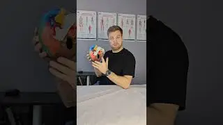 с юмором по жизни