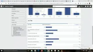 Understanding the Facebook Audience Insights