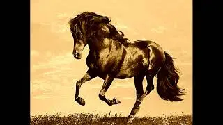Horse Sound