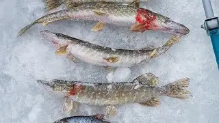 ЩУКА хорошо клюёт