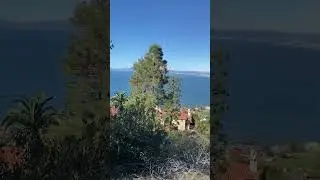 Одним словом Лос-Анджелес 