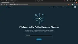 Making a Twitter Bot: Getting the API keys (Part 1)