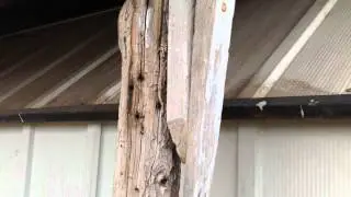 The new iPad camera test (1080p)