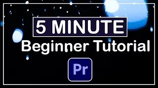 Premiere Pro Beginner Tutorial | The Editor