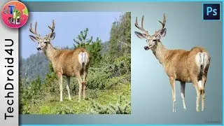 How to cut anything out in Photoshop CC 2017 , Techdroid4U