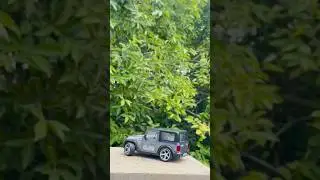 RC THAR LOOKING OFFRODE THAR