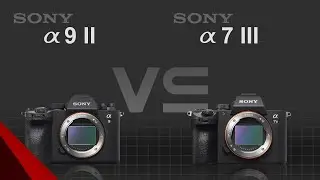 Sony alpha a9 II vs Sony alpha a7 III
