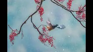 relaxing rain and birds sound effect 5 mins