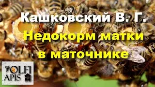 #Кашковский