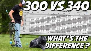 Do Spine Numbers Really MATTER? - The 300 vs. The 340 can you have both in your quiver?
