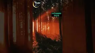 #2024 #New #Nashid  Muhammada Al-Muqit [ #2024 Новый Нашид ☀️